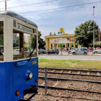 Święto Archiwów na pokładzie zabytkowych tramwajów