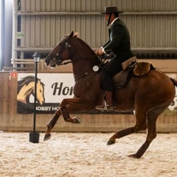 VI Wroclove Międzynarodowe Zawody Working Equitation WAWE