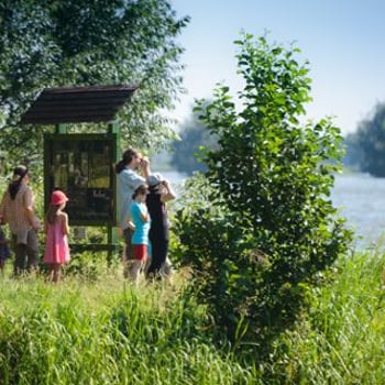 Jesień pełna atrakcji w Dolinie Baryczy - ruszyły Dni Karpia 2024!