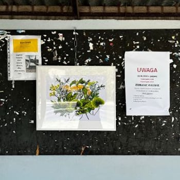 Wystawa: Ala Savashevich. Galeria Przystanek