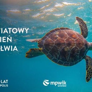Światowy Dzień Żółwia