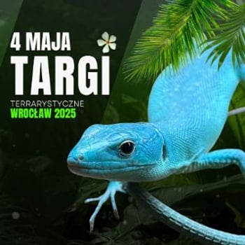 EXOTICARIUM 2025 Targi Terrarystyczne