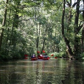 Spływ kajakowy rzeką Baryczą z KayakTours.pl