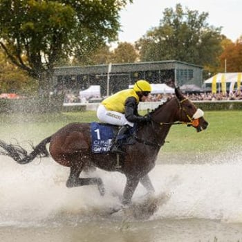 11 dzień wyścigowy Crystal Cup 2025
