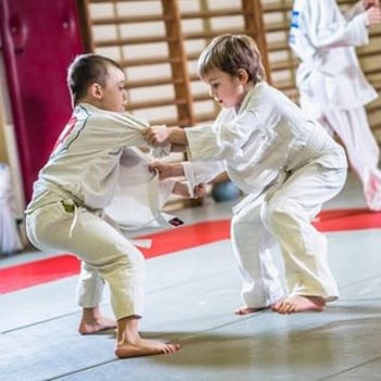 Zajęcia judo dla dzieci i młodzieży – Judo Tigers