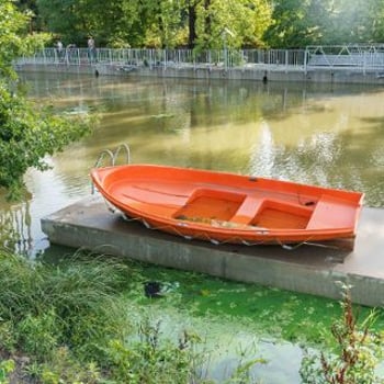 Sprzątamy Rzeki Wrocławia