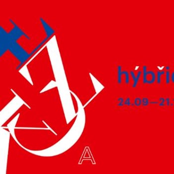 Hybrid in. Wystawa w galerii BWA Wrocław Główny
