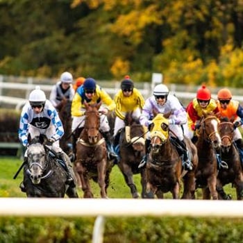4 dzień wyścigowy Ladies Day 2025