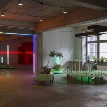 Galeria Studio BWA Wrocław [Noc Muzeów 2025]