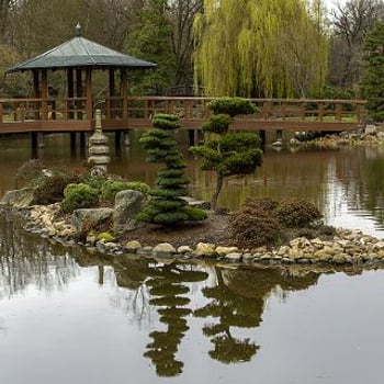 Ogród Japoński – cennik, godziny otwarcia, atrakcje