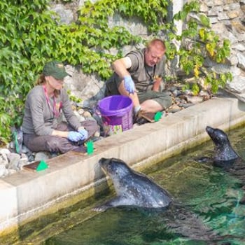Zostań młodym przyrodnikiem! Półkolonie zimowe w ZOO