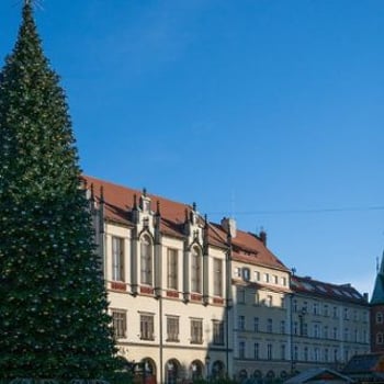 Rozświetlenie choinki na wrocławskim rynku