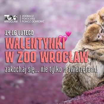ZOOkochaj się w zoo – bilety dla dwojga, konkurs i liczne atrakcje na walentynki