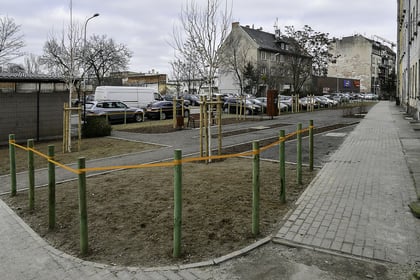 Grow Green - Zielone miasta na rzecz klimatu, wody, zrównoważonego rozwoju gospodarczego