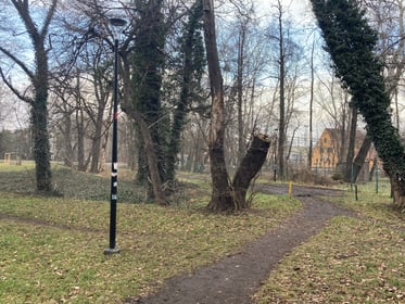 Oświetlenie ul. Dziwnowskiej wzdłuż parku