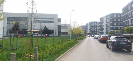 Zasadzenie 88 drzew na zieleńcach i pasach drogowych (Krzyki-Partynice)