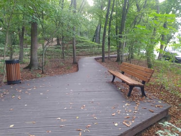 Nasadzenia, rekreacja i zielone zakątki w całym mieście – Park leśny przy ul. Rędzińskiej (projekt nr 132 WBO 2019)
