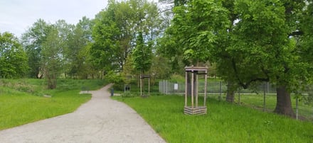 Parki kieszonkowe, nasadzenia i zielone zakątki w całym mieście – Park Kieszonkowy przy kładce Pawłowickiej