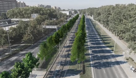 Zazielenianie ulic Legnickiej i Lotniczej - posadzenie 932 drzew