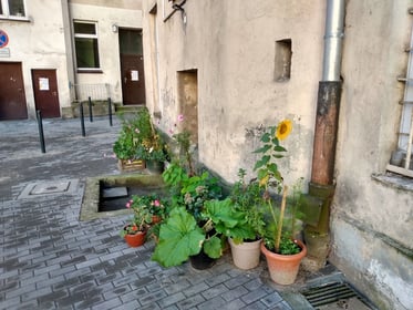 Zagospodarowanie wnętrza podwórzowego w obrębie ulic Cybulskiego,  Pomorska, Dubois, Drobnera