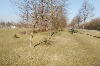 Budowa ciągu pieszo-rowerowego przy ul. Koziej