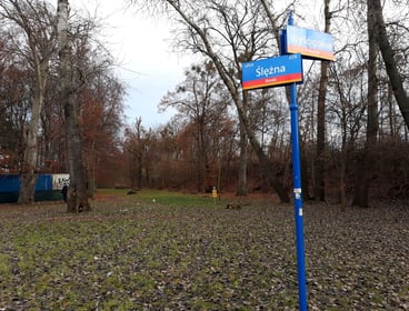 Budowa Promenady Krzyckiej na odcinku Spiska–Ślężna