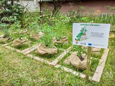 Ogródki warzywne przy placówkach oświatowych (FoodSHIFT2030)