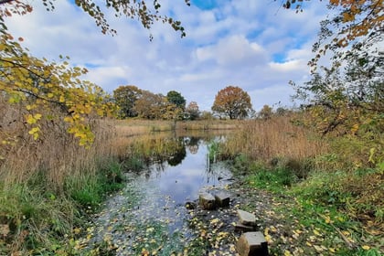 Park na Swojczycach „Smocze Uroczysko”