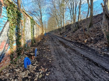 Budowa Promenady Krzyckiej na odcinku od ul. Śliwkowej do Ziębickiej (ciąg pieszo-rowerowy)