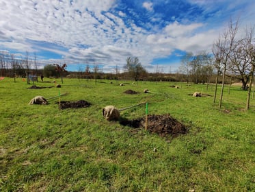 WROśnij we Wrocław-Parki Młodego Wrocławianina - Park Tysiąclecia - wiosna 2023