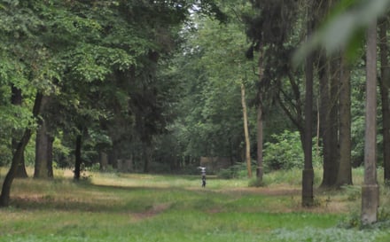 WROśnij we Wrocław-Parki Młodego Wrocławianina - Park Pracze Odrzańskie i Tarnogaj przy ul. Morowej - jesień 2024