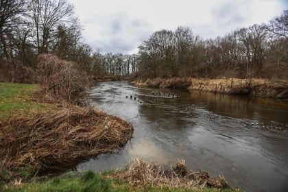 Budowa kładki nad ujściem Widawy