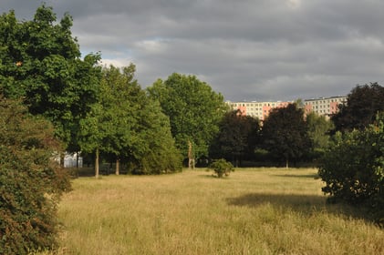 Park Słoneczny- ławki