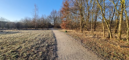 Park Maślicki – zagospodarowanie terenu położonego przy ul. Królewieckiej – Etap III
