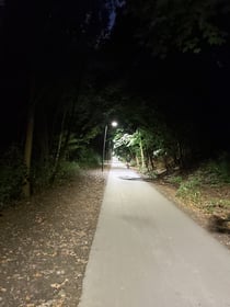 Budowa oświetlenia Promenady Krzyckiej na odcinku od Spiskiej do Borowskiej