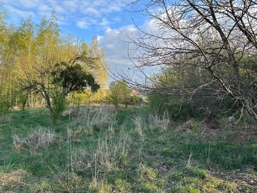 Budowa psiego wybiegu przy AOW na Polanowicach