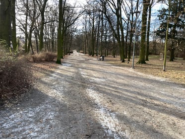 Rewaloryzacja Alei Romera w Parku Grabiszyńskim