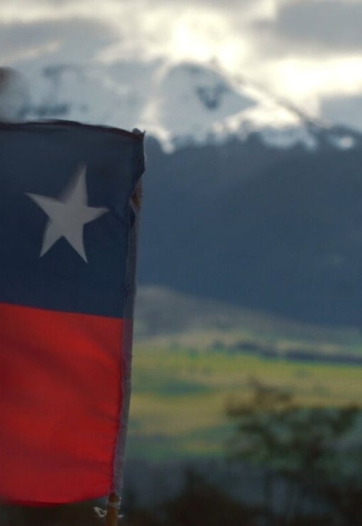 Plakat filmu Festiwal Kina Chilijskiego