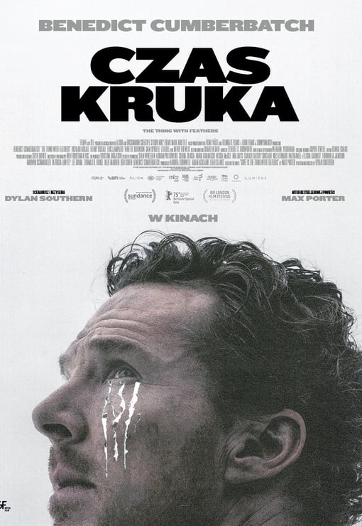 Plakat filmu Czas kruka