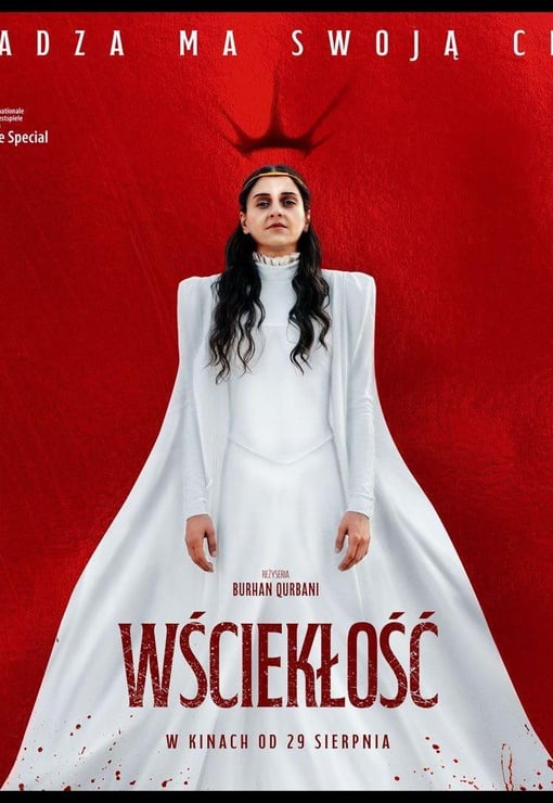 Plakat filmu Wściekłość