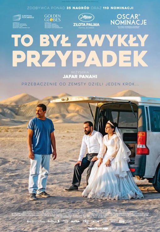 Plakat filmu To był zwykły przypadek