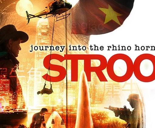 Plakat filmu Wojna o rogi nosorożców