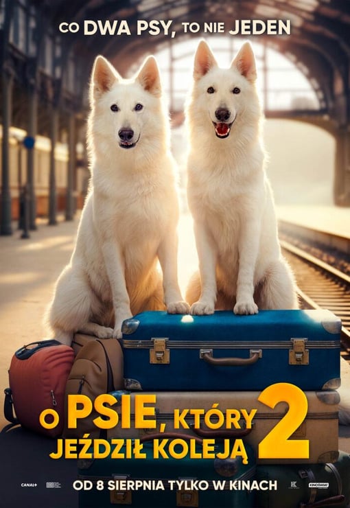 Plakat filmu O psie, który jeździł koleją 2
