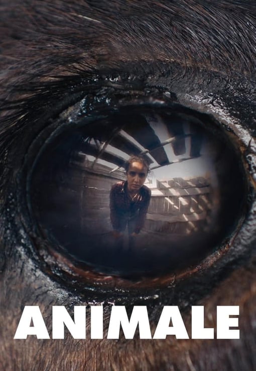 Plakat filmu Zwierzę