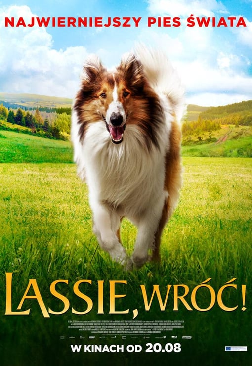 Plakat filmu Lassie, wróć! (dubbing)