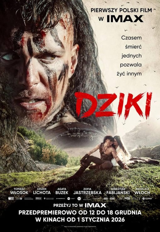 Plakat filmu Dziki