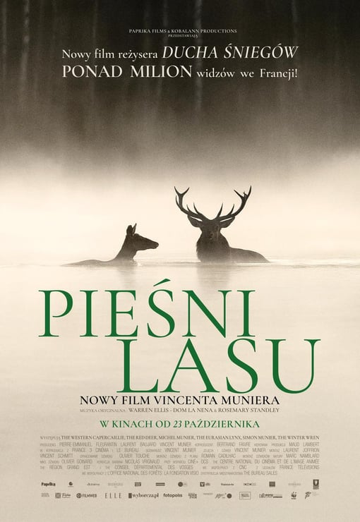 Plakat filmu Pieśni lasu