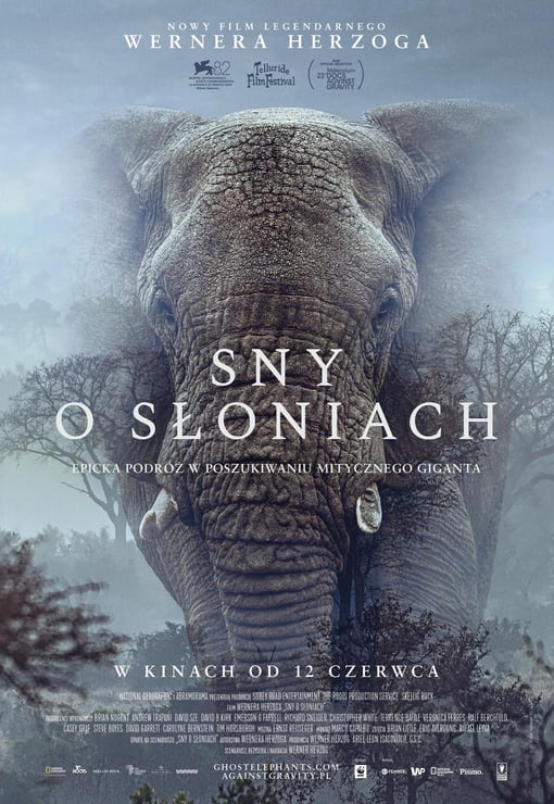 Plakat filmu Sny o słoniach