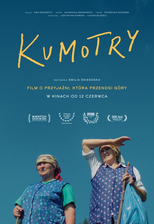 Plakat filmu Kumotry