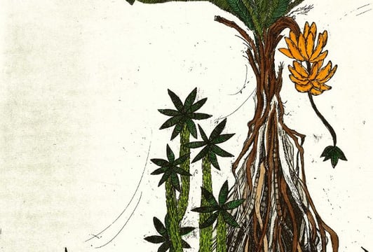 Genewa Garden, akwaforta, akwatinta, akwarela